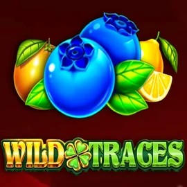 Wild Traces logo – Slots by Amusnet Interactive at Spinfin Casino